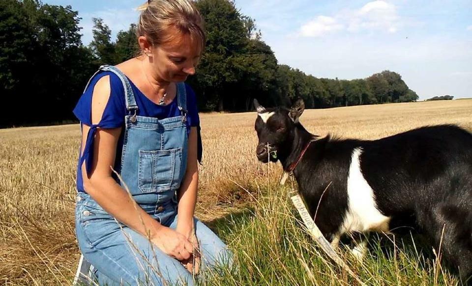 Gite La Bulle Enchantee Bezinghem Eksteriør billede
